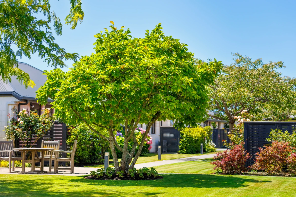 elmswood-village-rest-home-and-hospital-6530