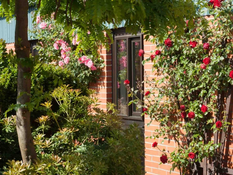 taieri-court-1