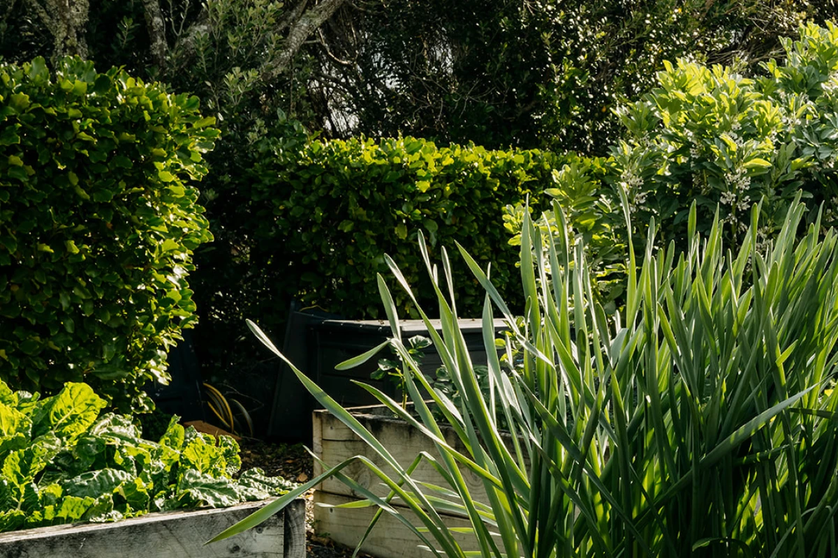 peninsula-club-arvida-11266