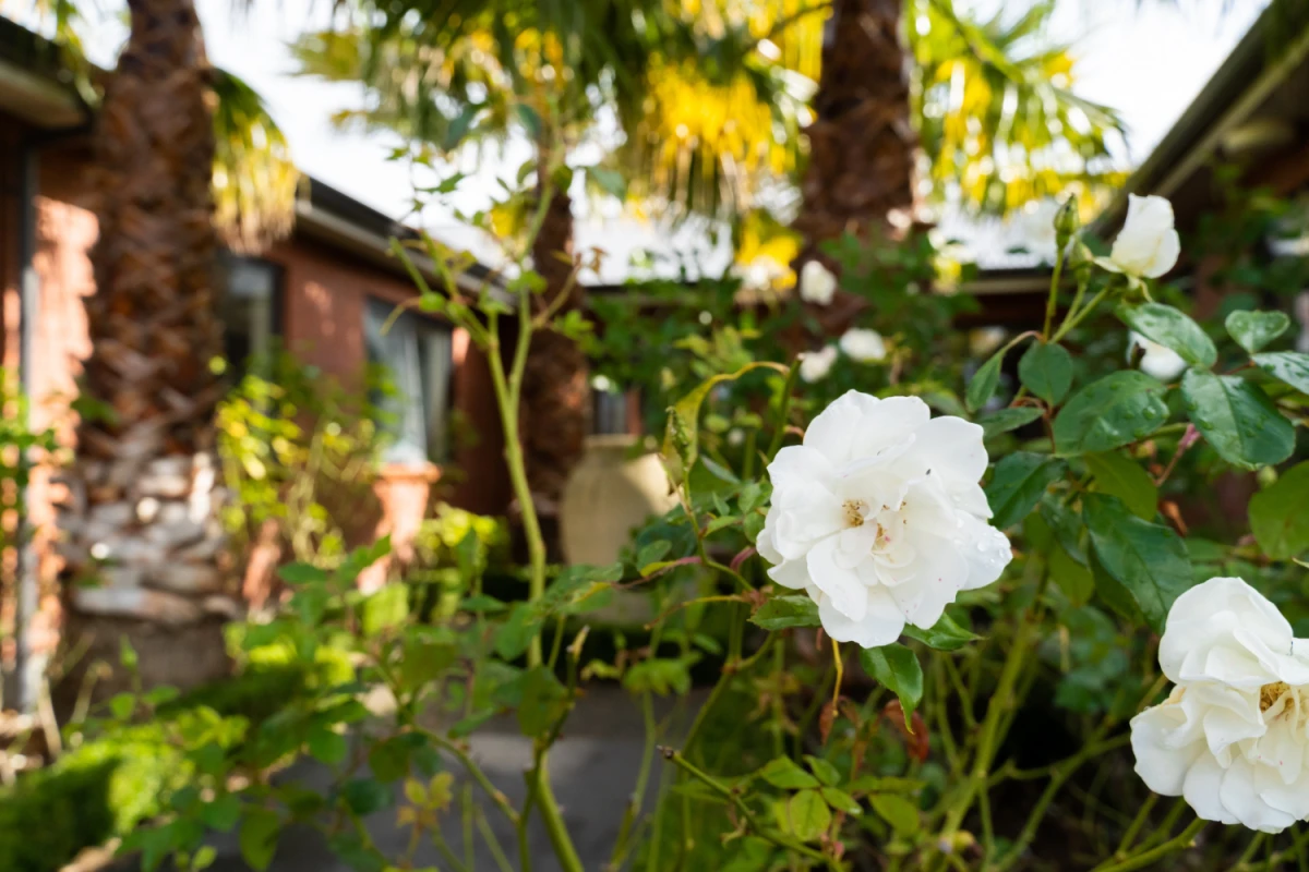 ranfurly-manor-8599