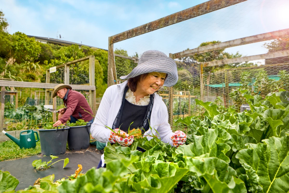 kapiti-village-metlifecare-14719