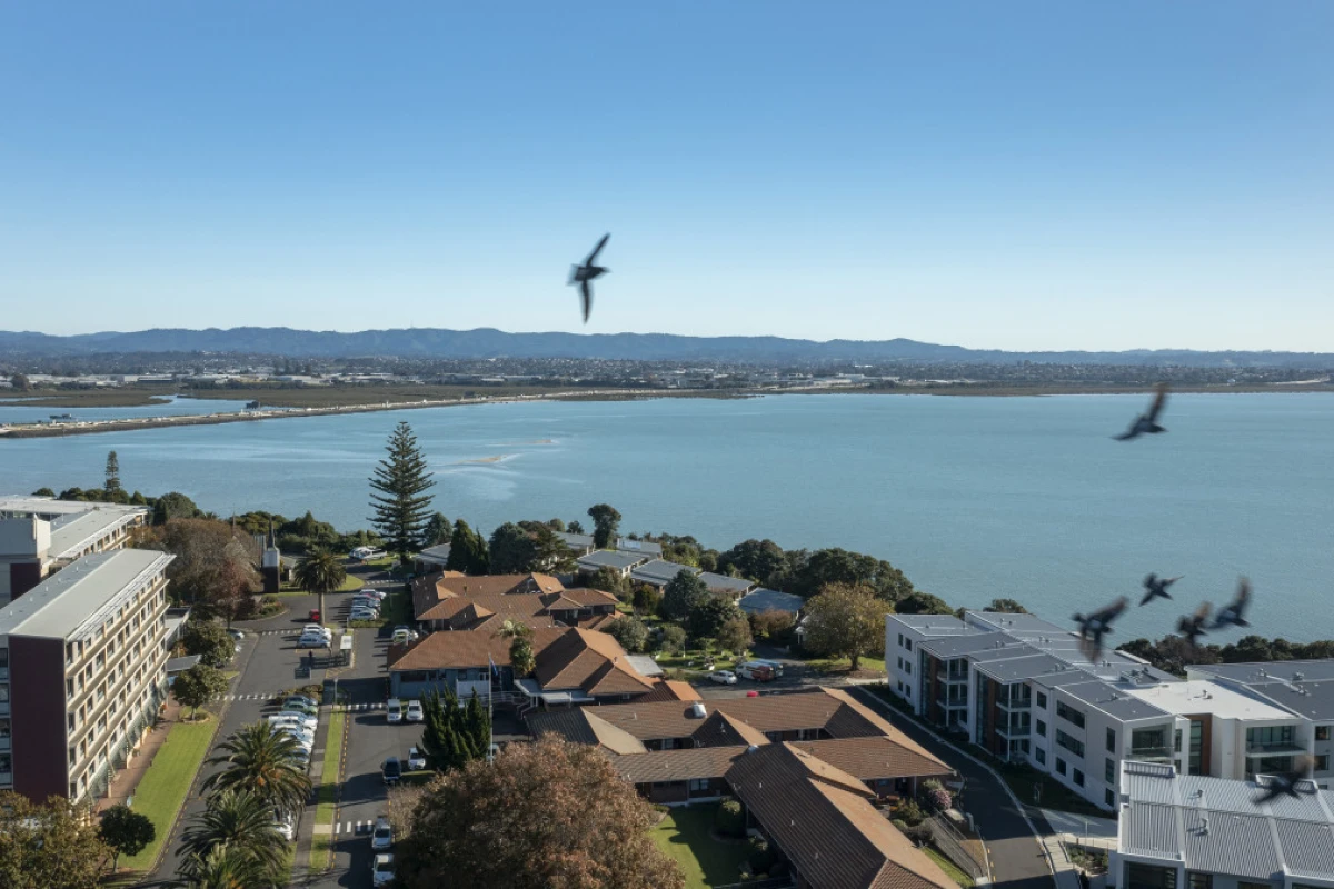 selwyn-village-point-chevalier-8156