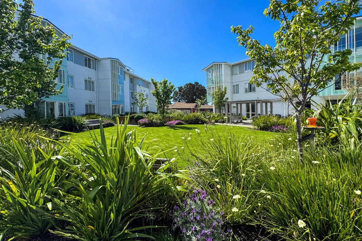 the-grove-orewa-14582