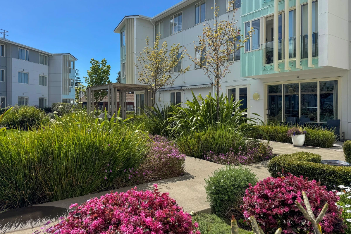the-grove-orewa-14583