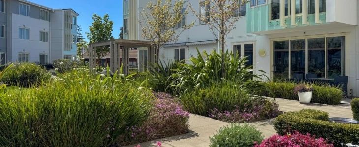 the-grove-orewa-14583