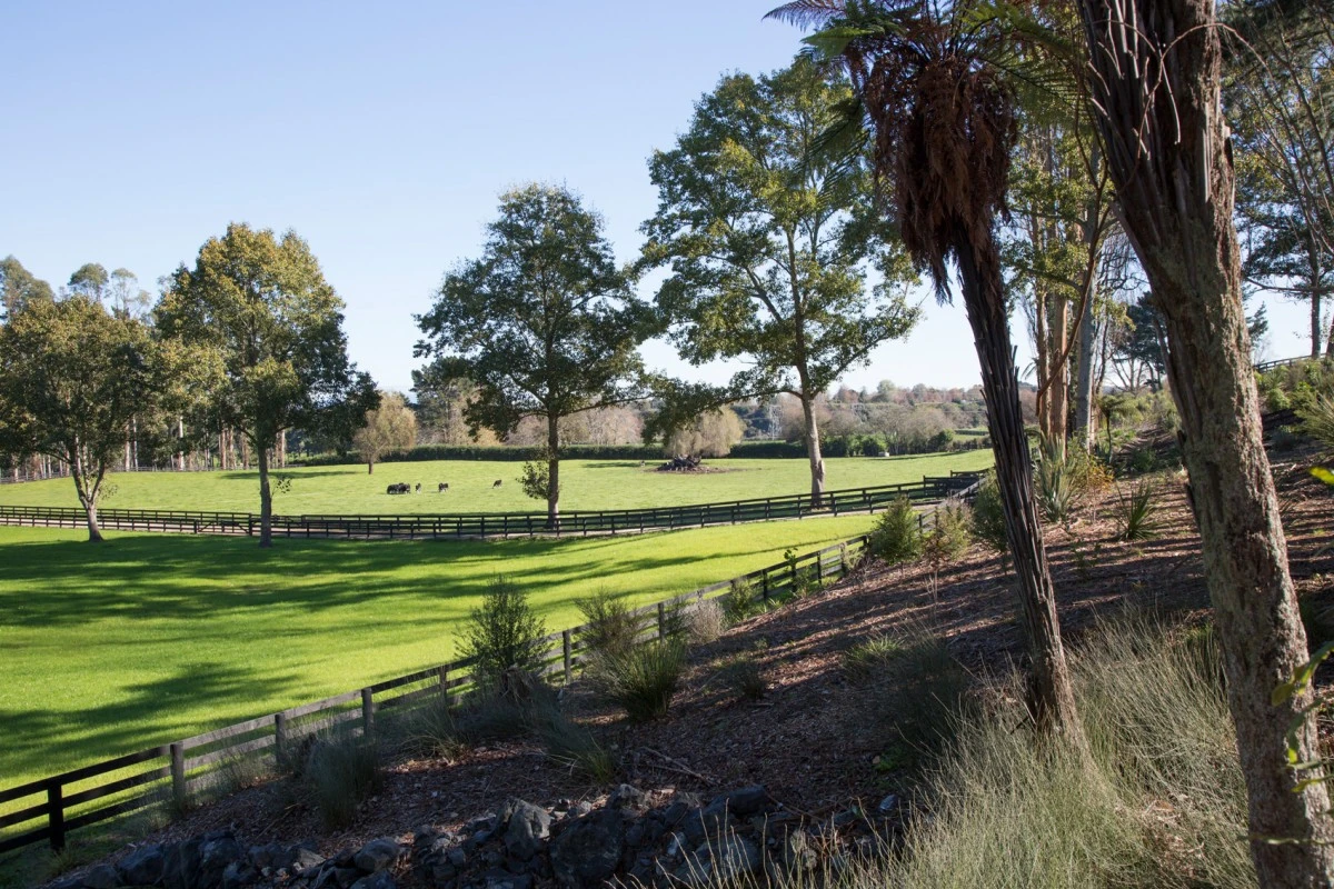te-awa-lifecare-16