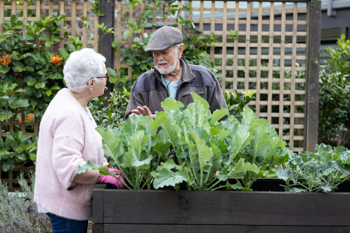 remuera-gardens-12946