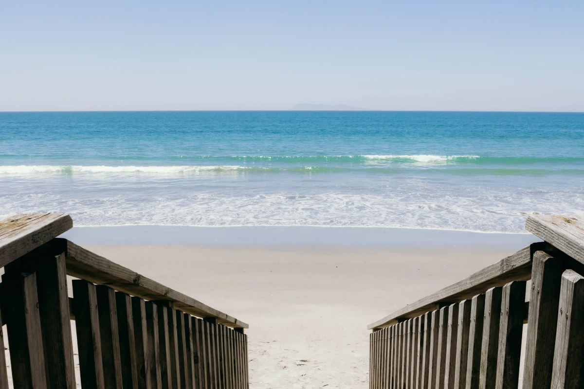 karaka-pines-waihi-beach-13446