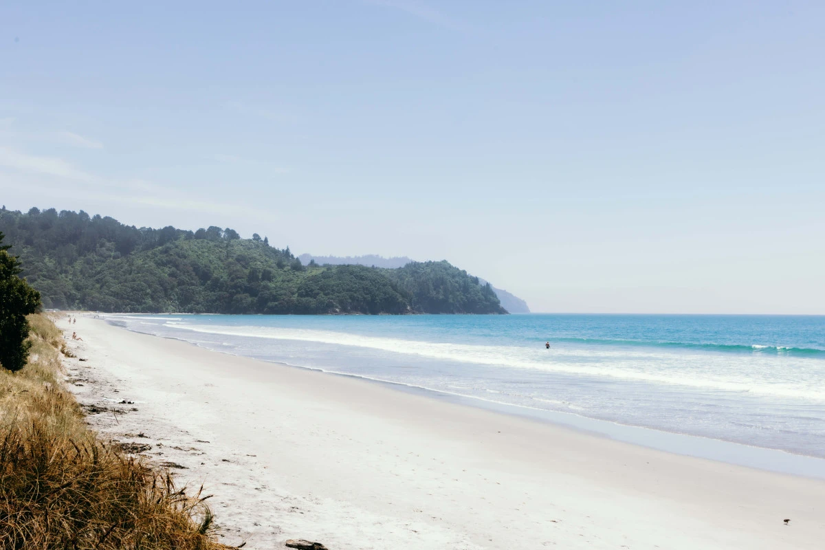 karaka-pines-waihi-beach-13447