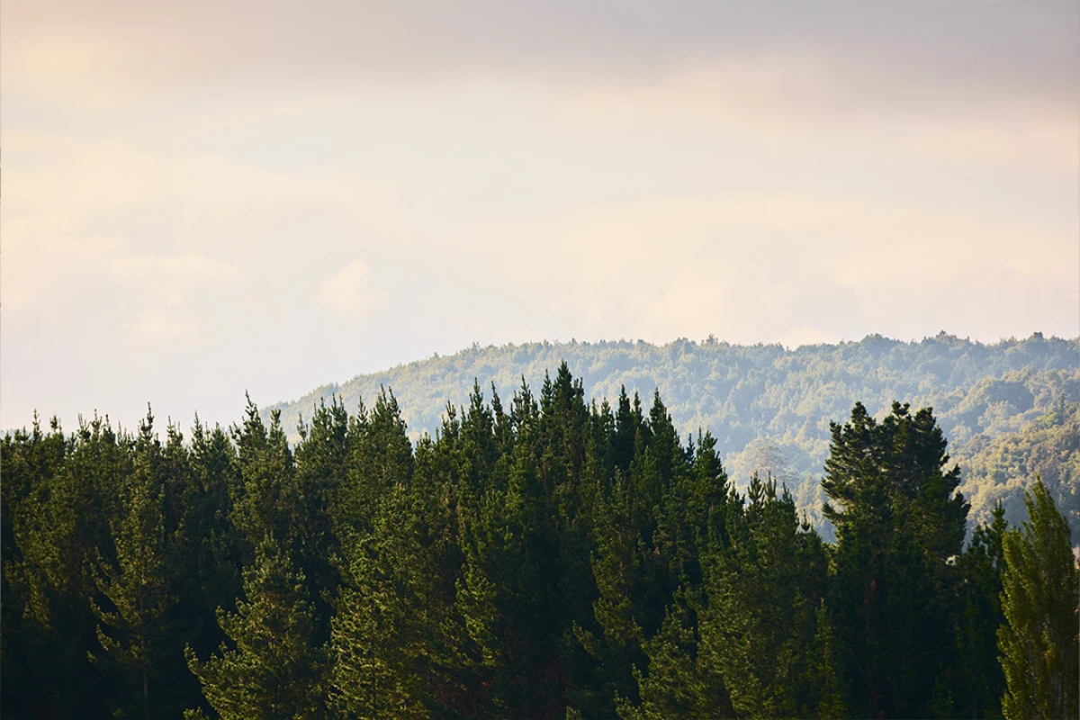 rotorua-lakes-12219
